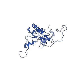 8343_5t2a_J_v1-1
CryoEM structure of the Leishmania donovani 80S ribosome at 2.9 Angstrom resolution