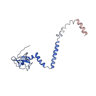 8343_5t2a_N_v1-1
CryoEM structure of the Leishmania donovani 80S ribosome at 2.9 Angstrom resolution