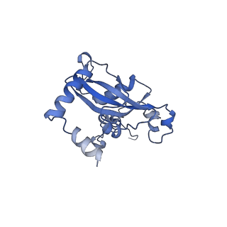 8343_5t2a_O_v1-1
CryoEM structure of the Leishmania donovani 80S ribosome at 2.9 Angstrom resolution