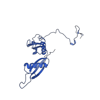 8343_5t2a_Q_v1-1
CryoEM structure of the Leishmania donovani 80S ribosome at 2.9 Angstrom resolution