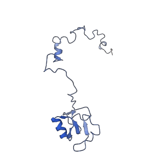 8343_5t2a_Z_v1-1
CryoEM structure of the Leishmania donovani 80S ribosome at 2.9 Angstrom resolution