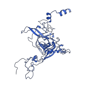 8343_5t2a_d_v1-1
CryoEM structure of the Leishmania donovani 80S ribosome at 2.9 Angstrom resolution