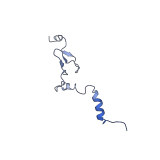 8343_5t2a_l_v1-1
CryoEM structure of the Leishmania donovani 80S ribosome at 2.9 Angstrom resolution