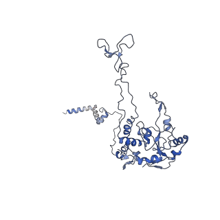 8343_5t2a_p_v1-1
CryoEM structure of the Leishmania donovani 80S ribosome at 2.9 Angstrom resolution