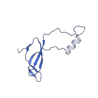 8343_5t2a_r_v1-1
CryoEM structure of the Leishmania donovani 80S ribosome at 2.9 Angstrom resolution