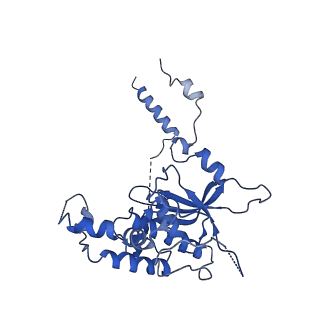 8343_5t2a_s_v1-1
CryoEM structure of the Leishmania donovani 80S ribosome at 2.9 Angstrom resolution