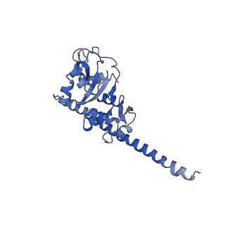 8343_5t2a_u_v1-1
CryoEM structure of the Leishmania donovani 80S ribosome at 2.9 Angstrom resolution