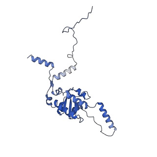 8343_5t2a_v_v1-1
CryoEM structure of the Leishmania donovani 80S ribosome at 2.9 Angstrom resolution