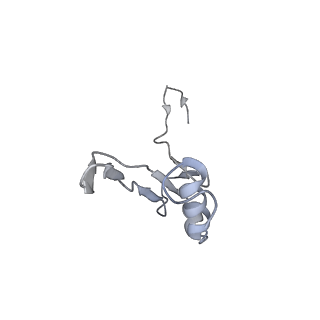 8345_5t2c_AC_v1-2
CryoEM structure of the human ribosome at 3.6 Angstrom resolution