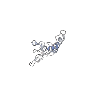 8345_5t2c_AD_v1-2
CryoEM structure of the human ribosome at 3.6 Angstrom resolution