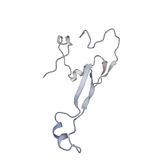 8345_5t2c_AE_v1-2
CryoEM structure of the human ribosome at 3.6 Angstrom resolution