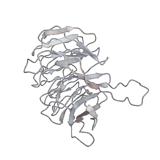 8345_5t2c_AI_v1-2
CryoEM structure of the human ribosome at 3.6 Angstrom resolution