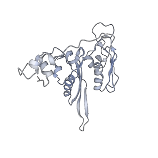 8345_5t2c_AJ_v1-2
CryoEM structure of the human ribosome at 3.6 Angstrom resolution