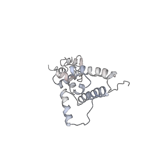 8345_5t2c_AL_v1-2
CryoEM structure of the human ribosome at 3.6 Angstrom resolution
