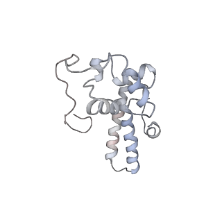 8345_5t2c_AN_v1-2
CryoEM structure of the human ribosome at 3.6 Angstrom resolution