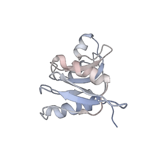 8345_5t2c_AP_v1-2
CryoEM structure of the human ribosome at 3.6 Angstrom resolution