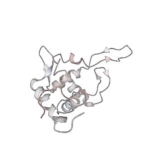 8345_5t2c_AU_v1-2
CryoEM structure of the human ribosome at 3.6 Angstrom resolution