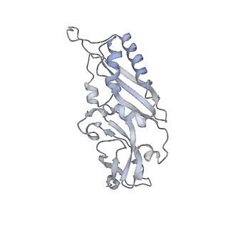 8345_5t2c_Ap_v1-2
CryoEM structure of the human ribosome at 3.6 Angstrom resolution