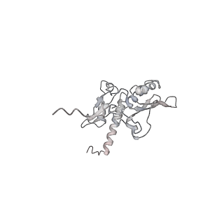 8345_5t2c_Aq_v1-2
CryoEM structure of the human ribosome at 3.6 Angstrom resolution