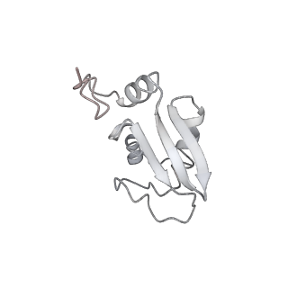 8345_5t2c_Av_v1-2
CryoEM structure of the human ribosome at 3.6 Angstrom resolution