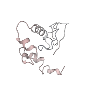 8345_5t2c_Ax_v1-2
CryoEM structure of the human ribosome at 3.6 Angstrom resolution