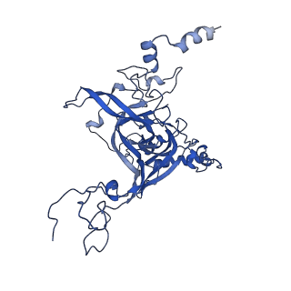 8345_5t2c_E_v1-2
CryoEM structure of the human ribosome at 3.6 Angstrom resolution