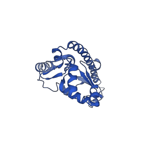 8345_5t2c_I_v1-2
CryoEM structure of the human ribosome at 3.6 Angstrom resolution