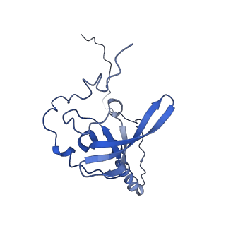 8345_5t2c_N_v1-2
CryoEM structure of the human ribosome at 3.6 Angstrom resolution