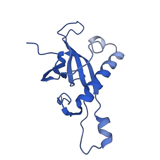 8345_5t2c_T_v1-2
CryoEM structure of the human ribosome at 3.6 Angstrom resolution