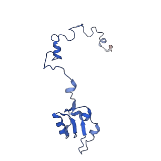 8345_5t2c_U_v1-2
CryoEM structure of the human ribosome at 3.6 Angstrom resolution