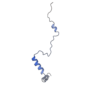 8345_5t2c_V_v1-2
CryoEM structure of the human ribosome at 3.6 Angstrom resolution