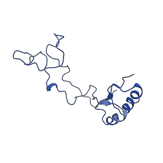 8345_5t2c_Y_v1-2
CryoEM structure of the human ribosome at 3.6 Angstrom resolution