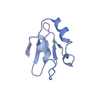 8345_5t2c_e_v1-2
CryoEM structure of the human ribosome at 3.6 Angstrom resolution
