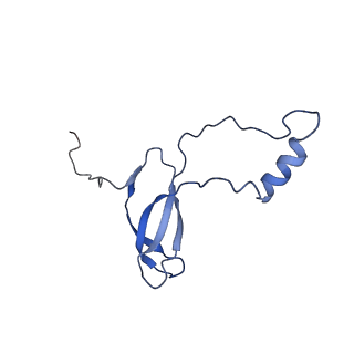 8345_5t2c_i_v1-2
CryoEM structure of the human ribosome at 3.6 Angstrom resolution