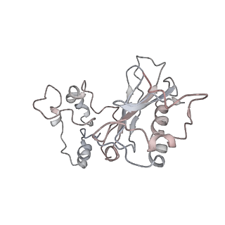 8345_5t2c_l_v1-2
CryoEM structure of the human ribosome at 3.6 Angstrom resolution