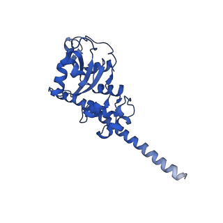 8345_5t2c_m_v1-2
CryoEM structure of the human ribosome at 3.6 Angstrom resolution