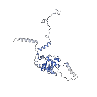 8345_5t2c_n_v1-2
CryoEM structure of the human ribosome at 3.6 Angstrom resolution