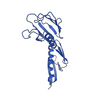 8345_5t2c_o_v1-2
CryoEM structure of the human ribosome at 3.6 Angstrom resolution