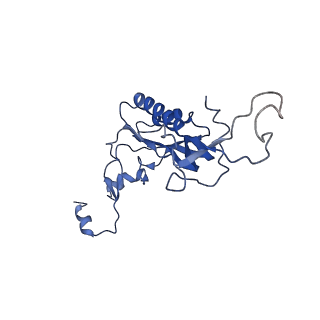 8345_5t2c_p_v1-2
CryoEM structure of the human ribosome at 3.6 Angstrom resolution