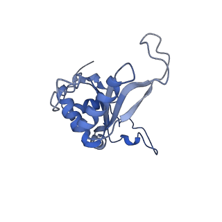 8345_5t2c_q_v1-2
CryoEM structure of the human ribosome at 3.6 Angstrom resolution