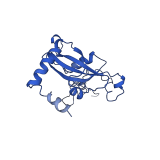 8345_5t2c_t_v1-2
CryoEM structure of the human ribosome at 3.6 Angstrom resolution
