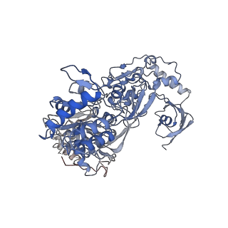 25647_7t30_F_v1-0
Structure of electron bifurcating Ni-Fe hydrogenase complex HydABCSL in FMN/NAD(H) bound state