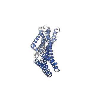 25648_7t32_A_v1-0
CryoEM structure of the adenosine 2A receptor-BRIL/Anti BRIL Fab complex with ZM241385