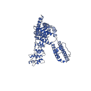 25650_7t37_B_v1-2
Activated state of 2-APB and CBD-bound wildtype rat TRPV2 in nanodiscs