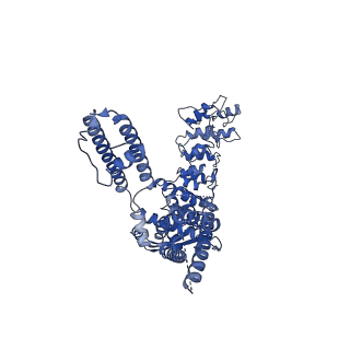 25650_7t37_D_v1-2
Activated state of 2-APB and CBD-bound wildtype rat TRPV2 in nanodiscs