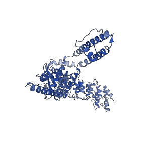 25651_7t38_A_v1-2
Inactivated state of 2-APB and CBD-bound wildtype rat TRPV2 in nanodiscs