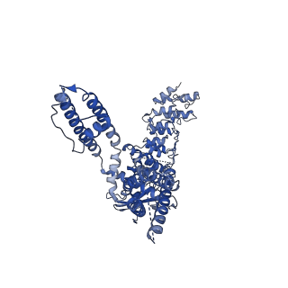 25651_7t38_D_v1-2
Inactivated state of 2-APB and CBD-bound wildtype rat TRPV2 in nanodiscs