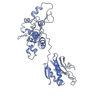 25652_7t3a_B_v1-1
GATOR1-RAG-RAGULATOR - Inhibitory Complex