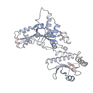25652_7t3a_C_v1-1
GATOR1-RAG-RAGULATOR - Inhibitory Complex