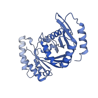 25652_7t3a_K_v1-1
GATOR1-RAG-RAGULATOR - Inhibitory Complex